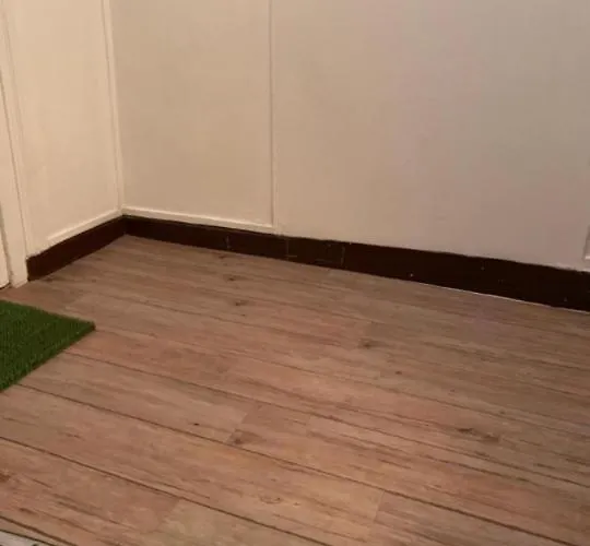 Charmant Logement A Vierzon Centre